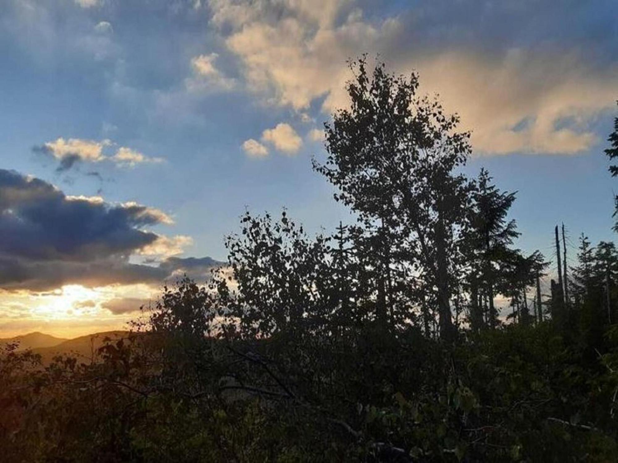 Welcoming Chalet Near Forest In Röhrnbach エクステリア 写真